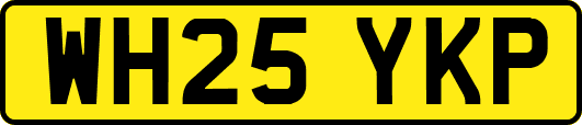 WH25YKP