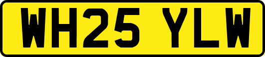 WH25YLW