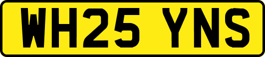 WH25YNS