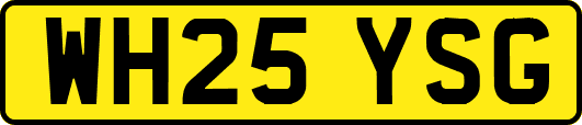 WH25YSG