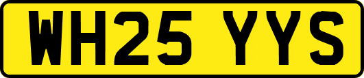 WH25YYS