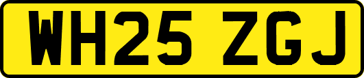 WH25ZGJ