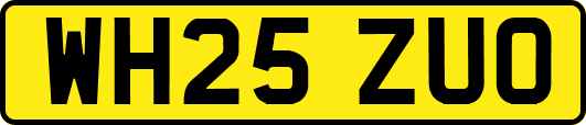 WH25ZUO