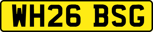 WH26BSG