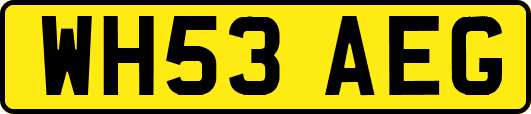 WH53AEG
