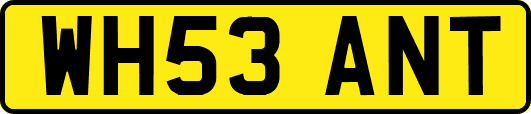 WH53ANT