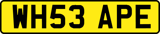 WH53APE