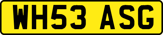 WH53ASG