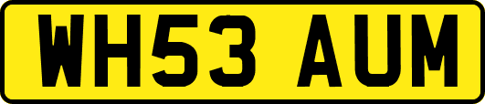 WH53AUM