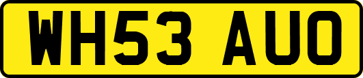 WH53AUO