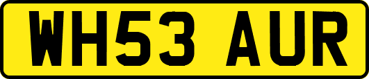 WH53AUR