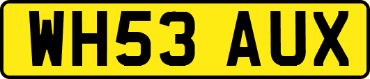 WH53AUX