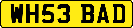 WH53BAD