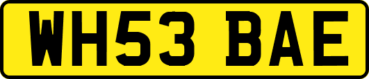WH53BAE