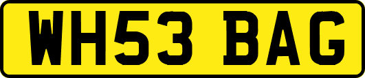WH53BAG