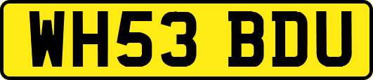 WH53BDU