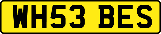 WH53BES