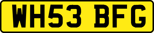 WH53BFG