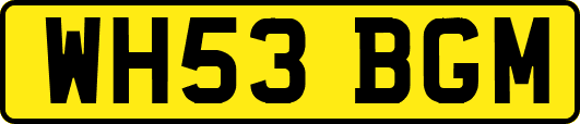 WH53BGM