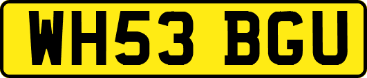 WH53BGU
