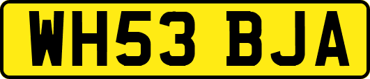 WH53BJA