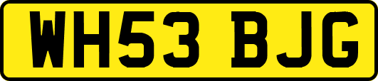 WH53BJG