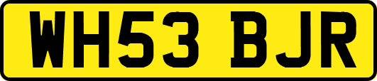 WH53BJR