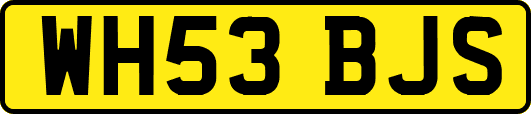 WH53BJS
