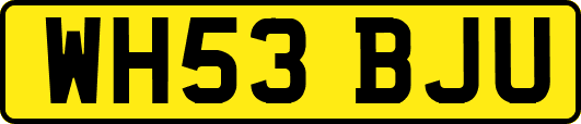 WH53BJU