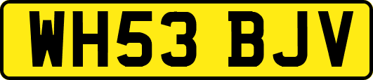WH53BJV