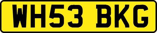 WH53BKG