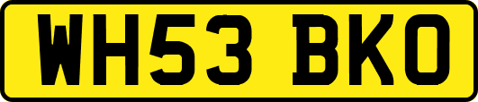 WH53BKO