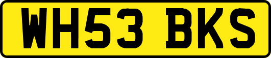 WH53BKS