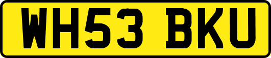 WH53BKU