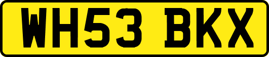 WH53BKX
