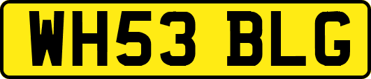 WH53BLG