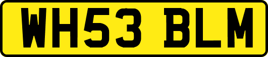 WH53BLM