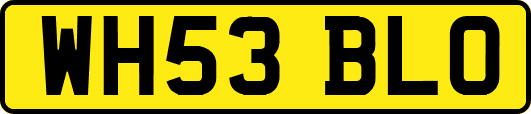 WH53BLO