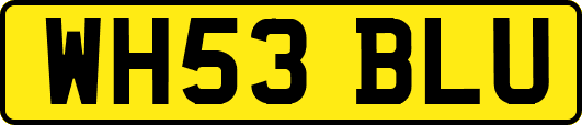 WH53BLU