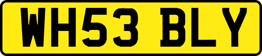WH53BLY