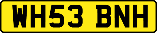 WH53BNH
