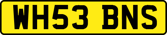 WH53BNS