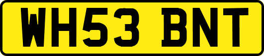 WH53BNT