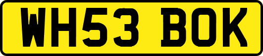 WH53BOK