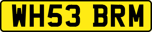 WH53BRM