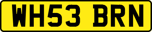 WH53BRN