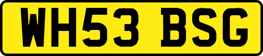 WH53BSG