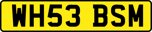 WH53BSM