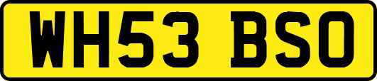 WH53BSO