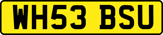 WH53BSU